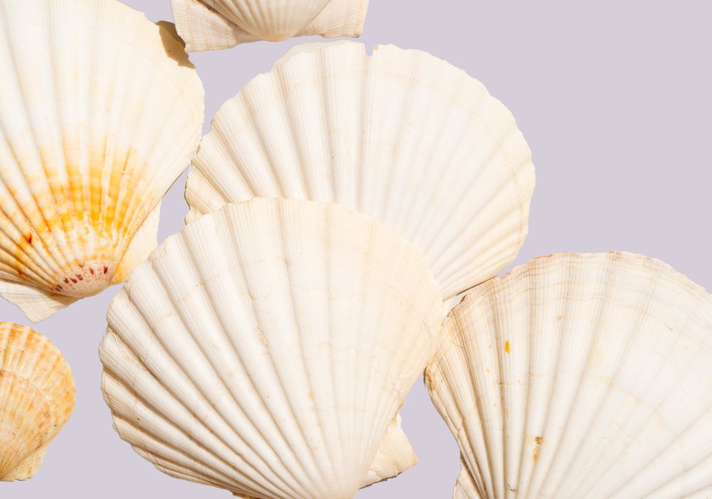 Sleek Confidence A Dive Into Diode Laser Body Hair Removal for Men